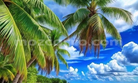 Buy Used Mahindra Scorpio Other Car in Maputo in Maputo Buy Used Mahindra Scorpio Other Car in Maputo in Maputo