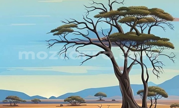 Buy Used Toyota Hilux Other Car in Maputo in Maputo Buy Used Toyota Hilux Other Car in Maputo in Maputo