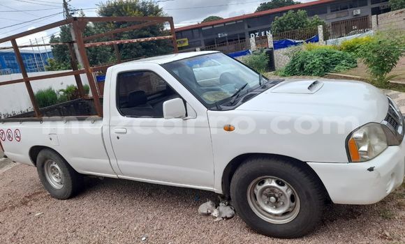 Buy Used Nissan Hardbody White Car in Maputo in Maputo Buy Used Nissan Hardbody White Car in Maputo in Maputo