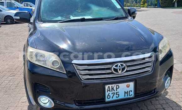 Buy Used Toyota Vanguard Black Car in Maputo in Maputo