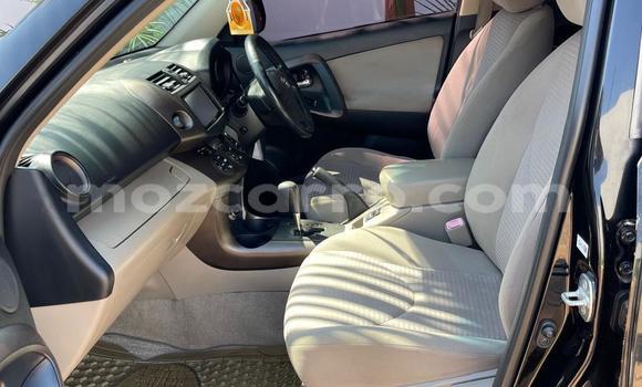 Tenga Tsaru Toyota Vanguard Nhema Mota in Maputo in Maputo Tenga Tsaru Toyota Vanguard Nhema Mota in Maputo in Maputo