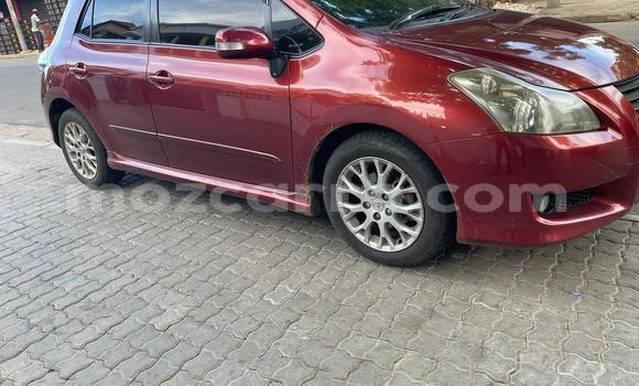 Tenga Tsaru Toyota Blade Zvimwe Mota in Maputo in Maputo Tenga Tsaru Toyota Blade Zvimwe Mota in Maputo in Maputo