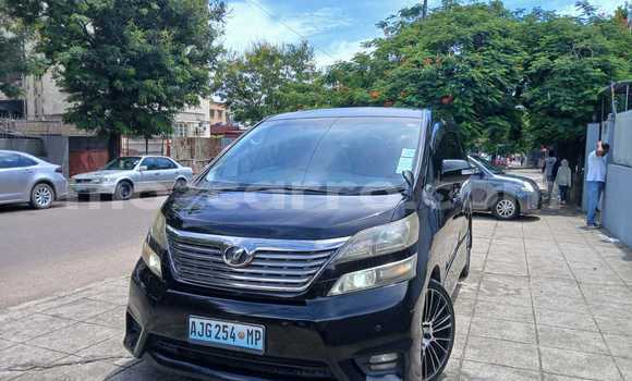 Tenga Tsaru Toyota Vellfire Sirivha Mota in Maputo in Maputo Tenga Tsaru Toyota Vellfire Sirivha Mota in Maputo in Maputo