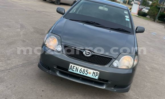 Comprar Usado Toyota Runx Preto Carro em Maputo em Maputo