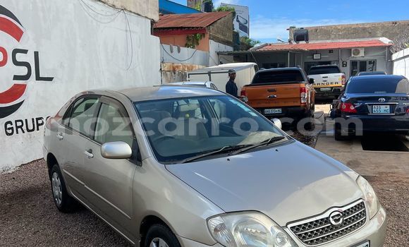 Comprar Usado Toyota Corolla Castanho Carro em Maputo em Maputo
