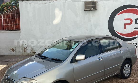 Buy Used Toyota Corolla Brown Car in Maputo in Maputo Buy Used Toyota Corolla Brown Car in Maputo in Maputo