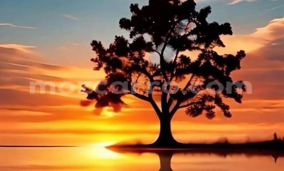 Buy Used Ford Ranger Other Car in Maputo in Maputo Buy Used Ford Ranger Other Car in Maputo in Maputo