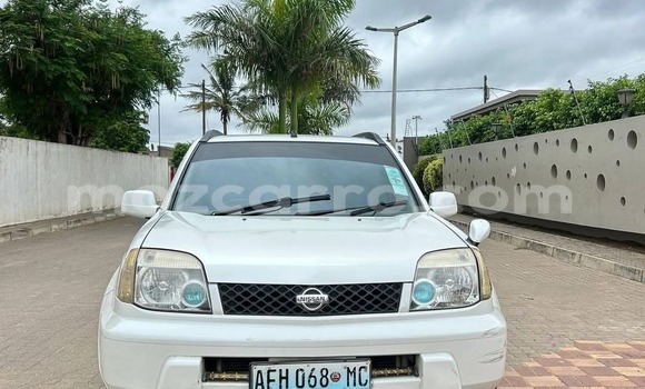 Tenga Tsaru Nissan X-Trail Chena Mota in Maputo in Maputo Tenga Tsaru Nissan X-Trail Chena Mota in Maputo in Maputo