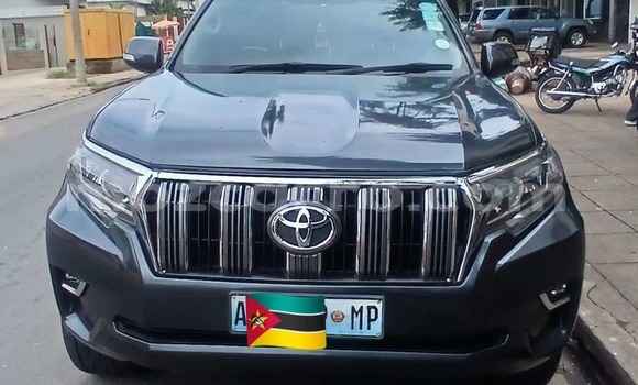 Tenga Tsaru Toyota Land Cruiser Prado Zvimwe Mota in Maputo in Maputo