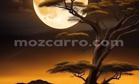 Buy Used Land Rover Freelander Blue Car in Maputo in Maputo Buy Used Land Rover Freelander Blue Car in Maputo in Maputo