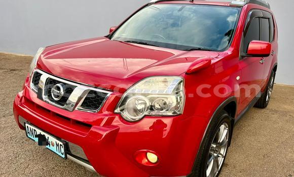 Tenga Itsva Nissan X-Trail Tsvuku Mota in Maputo in Maputo Tenga Itsva Nissan X-Trail Tsvuku Mota in Maputo in Maputo