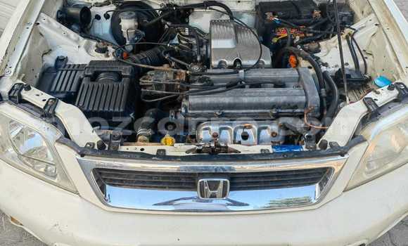 Tenga Tsaru Honda CR-V Chena Mota in Maputo in Maputo Tenga Tsaru Honda CR-V Chena Mota in Maputo in Maputo