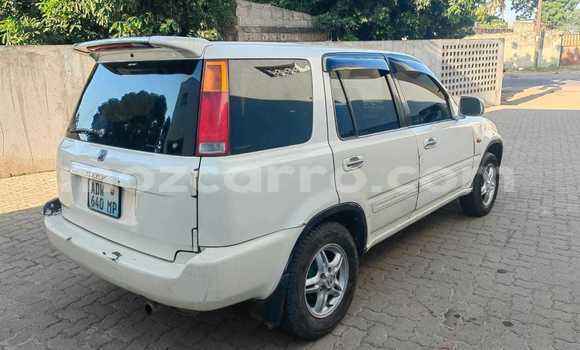 Tenga Tsaru Honda CR-V Chena Mota in Maputo in Maputo Tenga Tsaru Honda CR-V Chena Mota in Maputo in Maputo