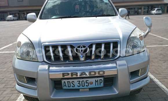 Buy Used Toyota Land Cruiser Prado Other Car in Maputo in Maputo