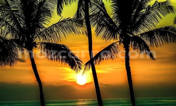 Nunua Ilio tumika Kia Sportage Nyingine Gari ndani ya Maputo nchini Maputo Nunua Ilio tumika Kia Sportage Nyingine Gari ndani ya Maputo nchini Maputo