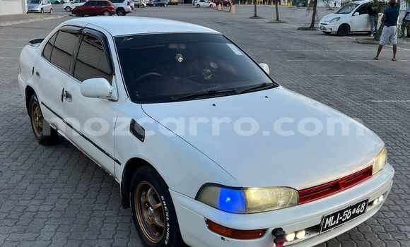 Buy Used Toyota Corolla White Car in Maputo in Maputo