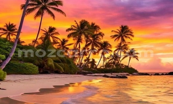 Comprar Novo Nissan X-Trail Branco Carro em Maputo em Maputo Comprar Novo Nissan X-Trail Branco Carro em Maputo em Maputo