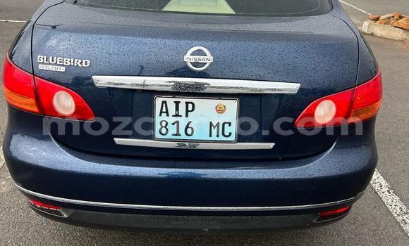 Tenga Tsaru Nissan Bluebird Bhuruu Mota in Maputo in Maputo Tenga Tsaru Nissan Bluebird Bhuruu Mota in Maputo in Maputo