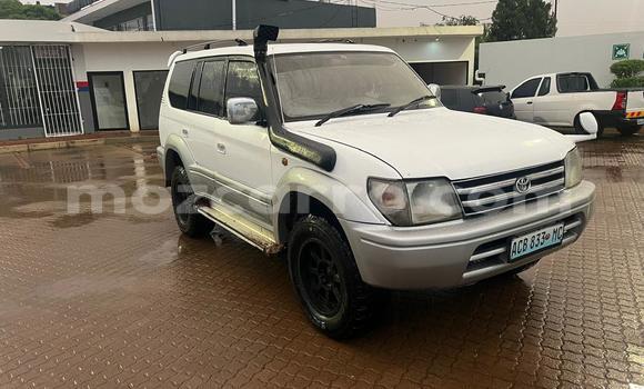 Tenga Tsaru Toyota Prado Chena Mota in Maputo in Maputo