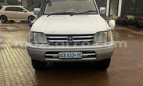 Tenga Tsaru Toyota Prado Chena Mota in Maputo in Maputo Tenga Tsaru Toyota Prado Chena Mota in Maputo in Maputo