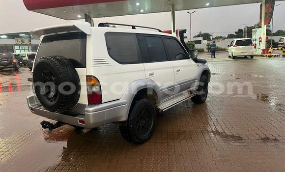 Tenga Tsaru Toyota Prado Chena Mota in Maputo in Maputo Tenga Tsaru Toyota Prado Chena Mota in Maputo in Maputo