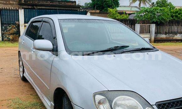 Buy Used Toyota Runx Silver Car in Maputo in Maputo Buy Used Toyota Runx Silver Car in Maputo in Maputo