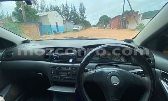 Buy Used Toyota Runx Silver Car in Maputo in Maputo Buy Used Toyota Runx Silver Car in Maputo in Maputo