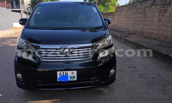 Tenga Tsaru Toyota Vellfire Nhema Mota in Maputo in Maputo Tenga Tsaru Toyota Vellfire Nhema Mota in Maputo in Maputo