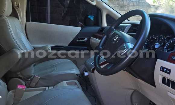 Tenga Tsaru Toyota Vellfire Nhema Mota in Maputo in Maputo Tenga Tsaru Toyota Vellfire Nhema Mota in Maputo in Maputo