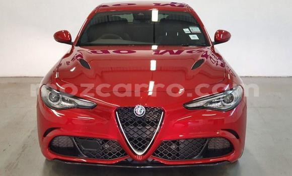 Buy Used Alfa Romeo Giulia Red Car in Maputo in Maputo Buy Used Alfa Romeo Giulia Red Car in Maputo in Maputo