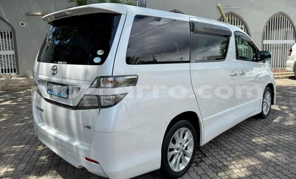 Tenga Itsva Toyota Vellfire Chena Mota in Maputo in Maputo Tenga Itsva Toyota Vellfire Chena Mota in Maputo in Maputo