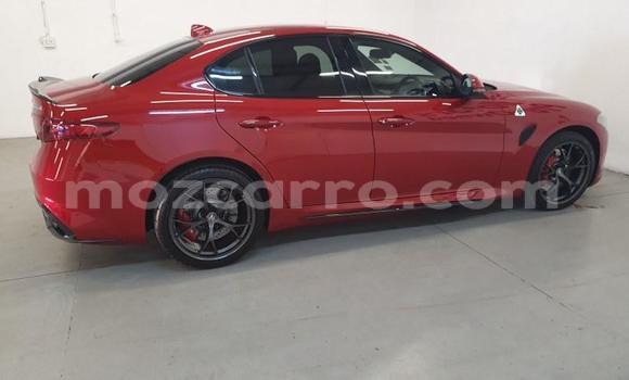 Buy Used Alfa Romeo Giulia Red Car in Maputo in Maputo Buy Used Alfa Romeo Giulia Red Car in Maputo in Maputo