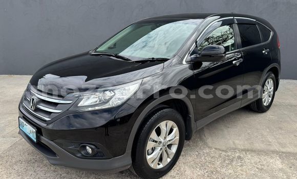 Comprar Novo Honda CR-V Preto Carro em Maputo em Maputo