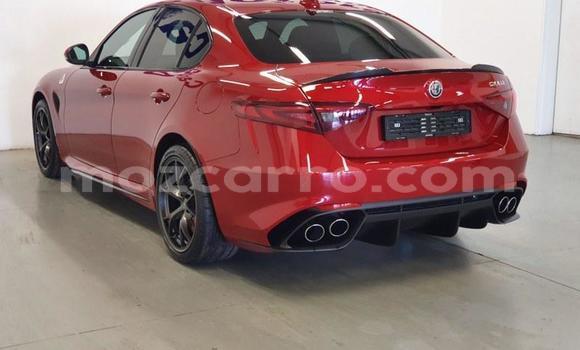 Buy Used Alfa Romeo Giulia Red Car in Maputo in Maputo Buy Used Alfa Romeo Giulia Red Car in Maputo in Maputo