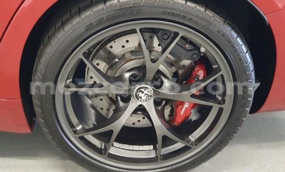 Buy Used Alfa Romeo Giulia Red Car in Maputo in Maputo Buy Used Alfa Romeo Giulia Red Car in Maputo in Maputo