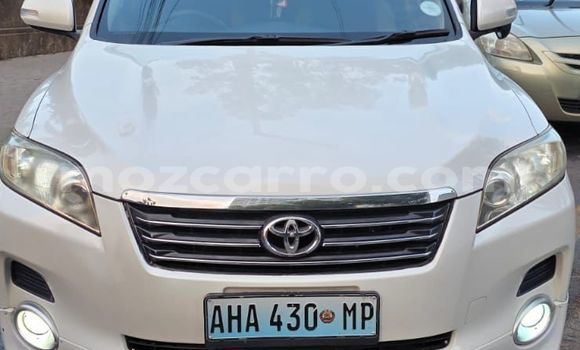 Tenga Tsaru Toyota Vanguard Chena Mota in Maputo in Maputo