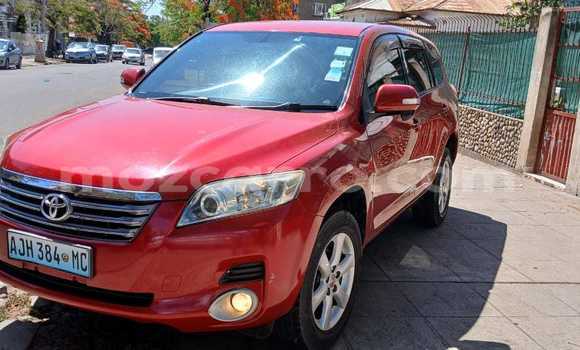 Comprar Usado Toyota Vanguard Vermelho Carro em Maputo em Maputo Comprar Usado Toyota Vanguard Vermelho Carro em Maputo em Maputo