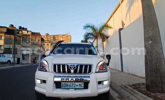 Buy Used Toyota Land Cruiser Prado White Car in Maputo in Maputo Buy Used Toyota Land Cruiser Prado White Car in Maputo in Maputo