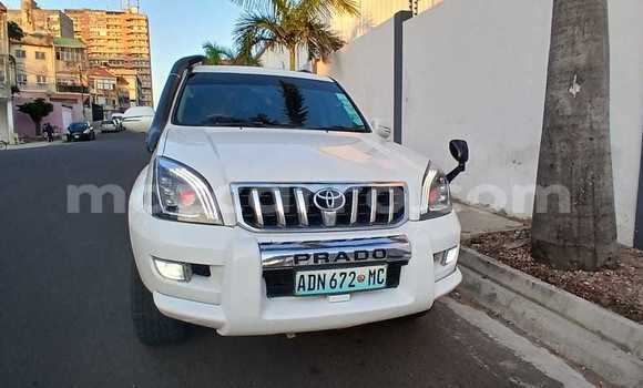 Tenga Tsaru Toyota Land Cruiser Prado Chena Mota in Maputo in Maputo Tenga Tsaru Toyota Land Cruiser Prado Chena Mota in Maputo in Maputo