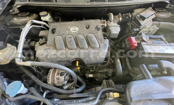 Tenga Tsaru Nissan Dualis Nhema Mota in Maputo in Maputo Tenga Tsaru Nissan Dualis Nhema Mota in Maputo in Maputo