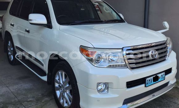 Comprar Novo Toyota Land Cruiser Castanho Carro em Maputo em Maputo