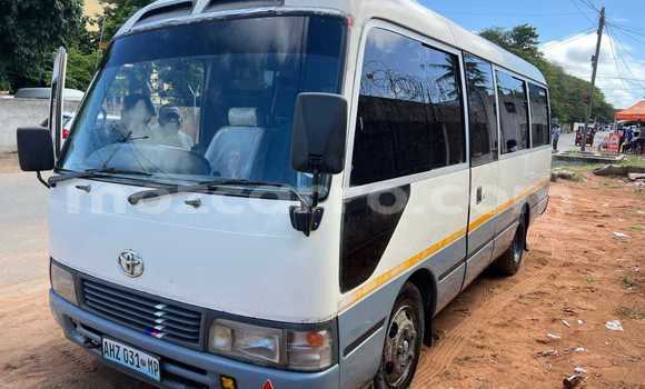 Buy Used Toyota Coaster White Car in Maputo in Maputo Buy Used Toyota Coaster White Car in Maputo in Maputo