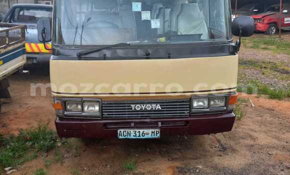 Tenga Tsaru Toyota Coaster Zvimwe Mota in Maputo in Maputo