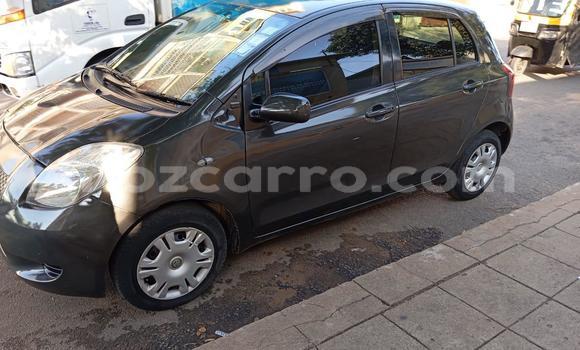 Buy Used Toyota Vitz Brown Car in Maputo in Maputo Buy Used Toyota Vitz Brown Car in Maputo in Maputo