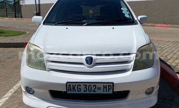 Tenga Tsaru Toyota IST Chena Mota in Maputo in Maputo