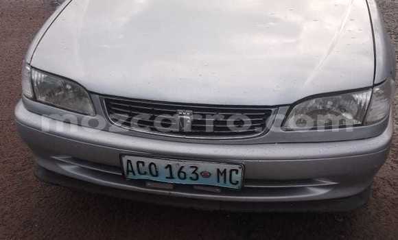 Tenga Tsaru Toyota Corolla Sirivha Mota in Maputo in Maputo
