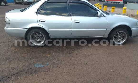 Comprar Usado Toyota Corolla Prata Carro em Maputo em Maputo Comprar Usado Toyota Corolla Prata Carro em Maputo em Maputo