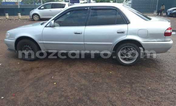 Comprar Usado Toyota Corolla Prata Carro em Maputo em Maputo Comprar Usado Toyota Corolla Prata Carro em Maputo em Maputo