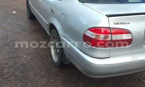Comprar Usado Toyota Corolla Prata Carro em Maputo em Maputo Comprar Usado Toyota Corolla Prata Carro em Maputo em Maputo