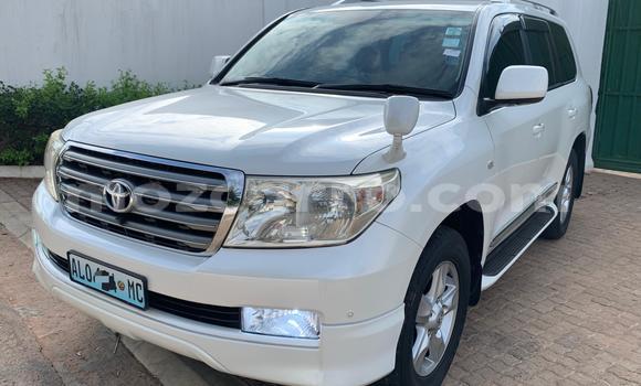 Comprar Novo Toyota Land Cruiser Branco Carro em Maputo em Maputo Comprar Novo Toyota Land Cruiser Branco Carro em Maputo em Maputo